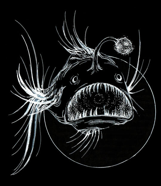 Dotwork Anglerfish Dotwork Anglerfish